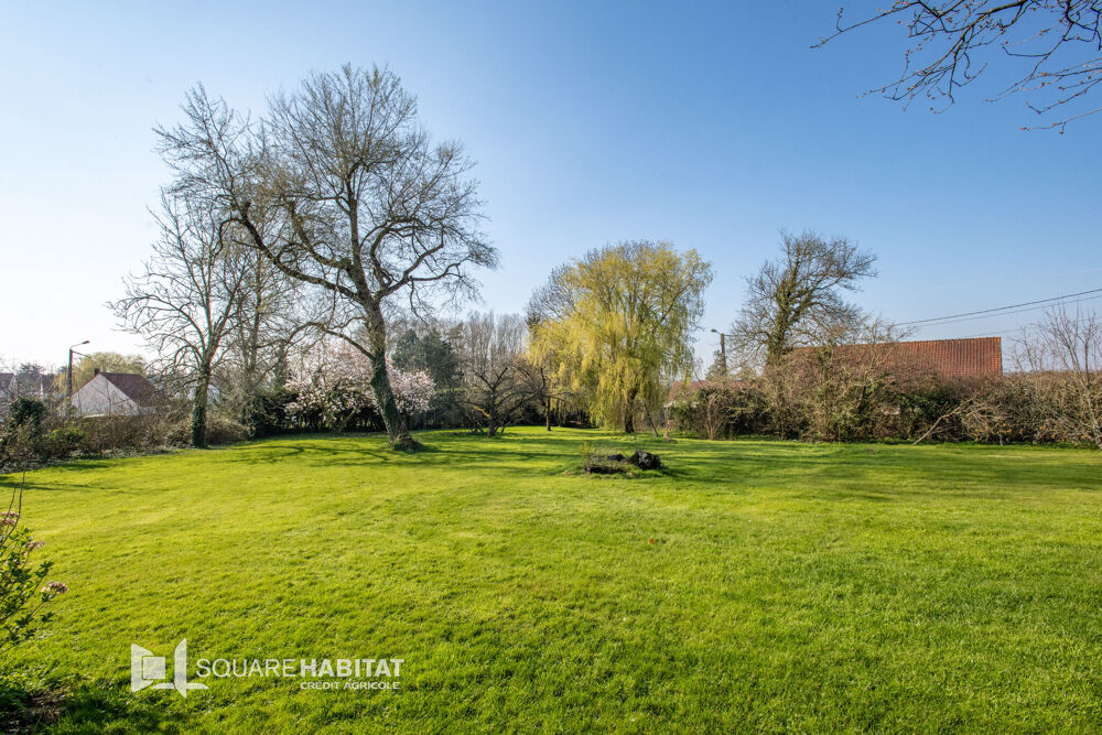 à vendre  Maison Samer (62830)