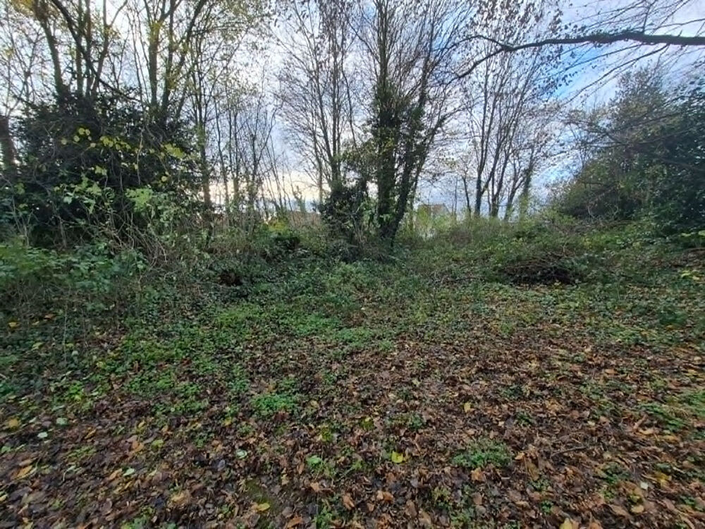 Vente Terrain terrain Ligny-saint-flochel