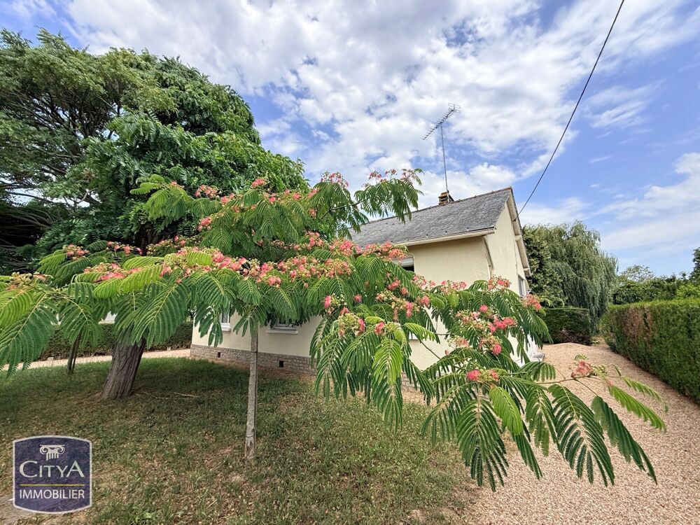 Vente Maison maison Parçay-sur-vienne