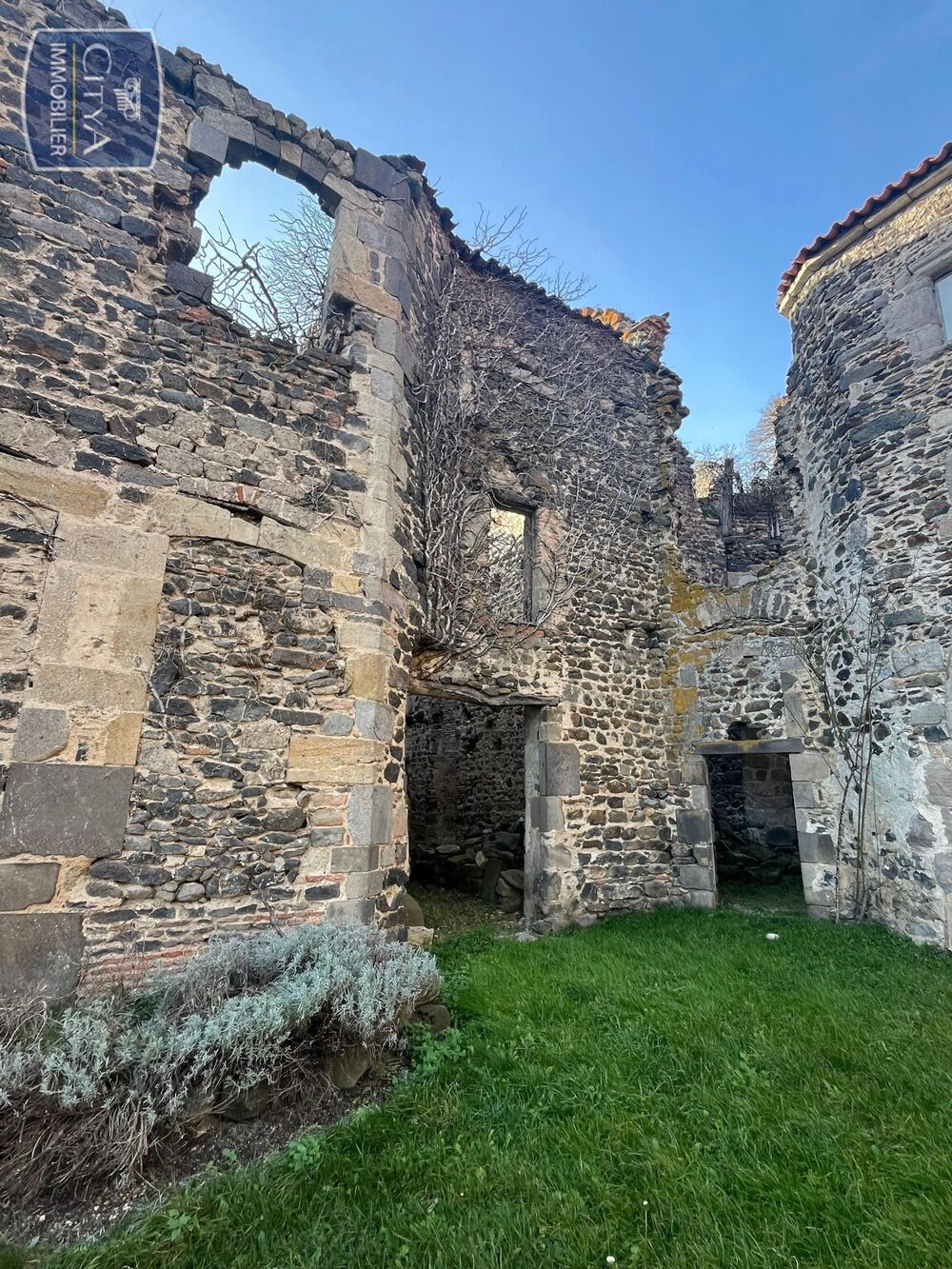 Vente Maison maison Bergonne