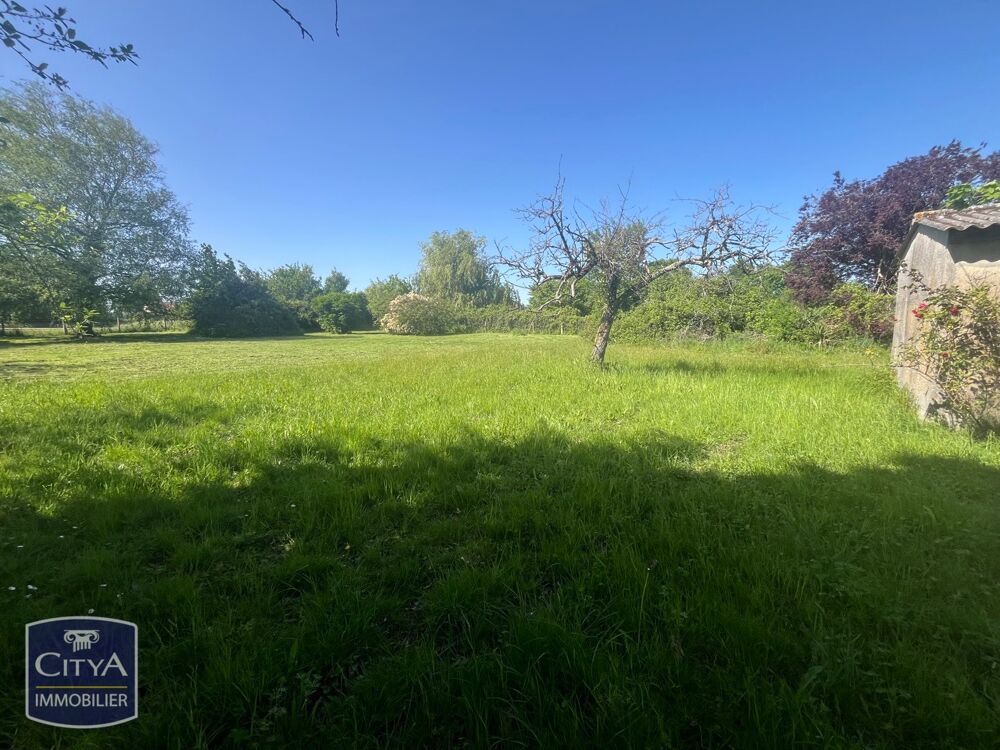Vente Terrain terrain Nieuil-l'espoir