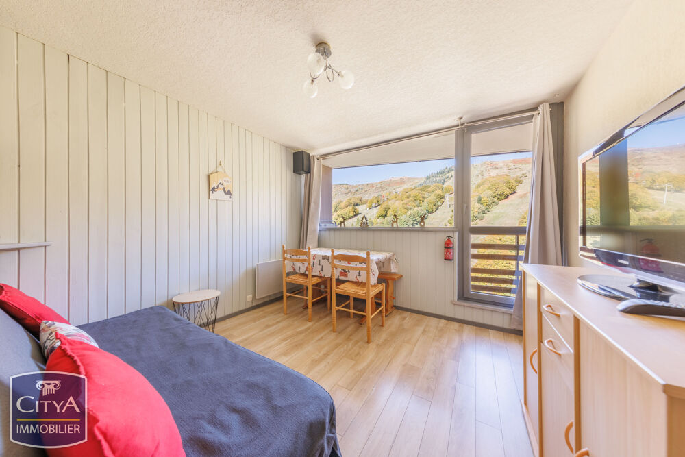 Vente Appartement appartement Besse-et-saint-anastaise