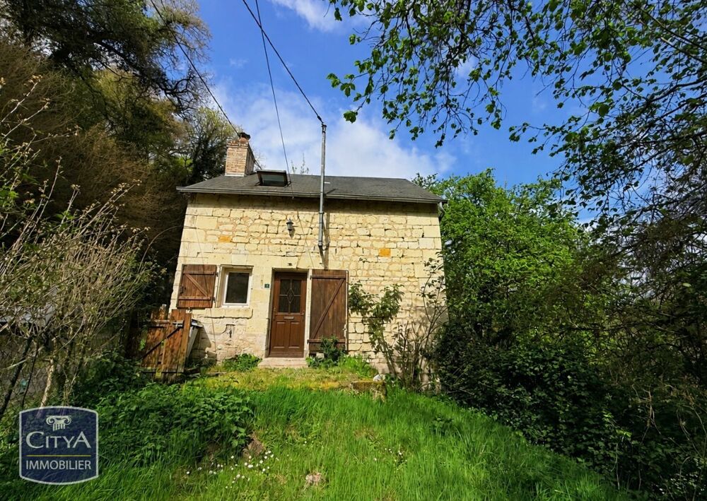 Vente Maison maison Thizay
