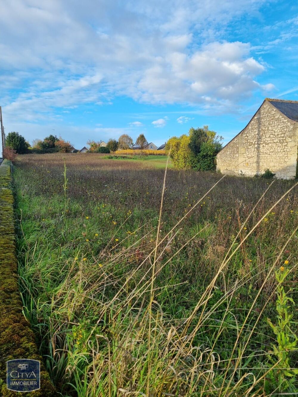 Vente Terrain terrain Coteaux-sur-loire