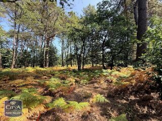 Vente Terrain terrain Saint-benoît-la-forêt