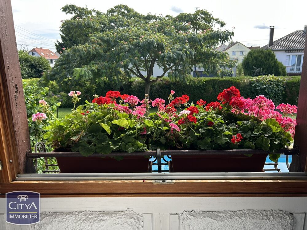 à vendre  Maison Sausheim (68390)