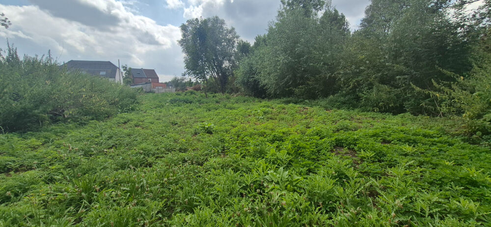 Vente Terrain terrain Flines-lez-raches