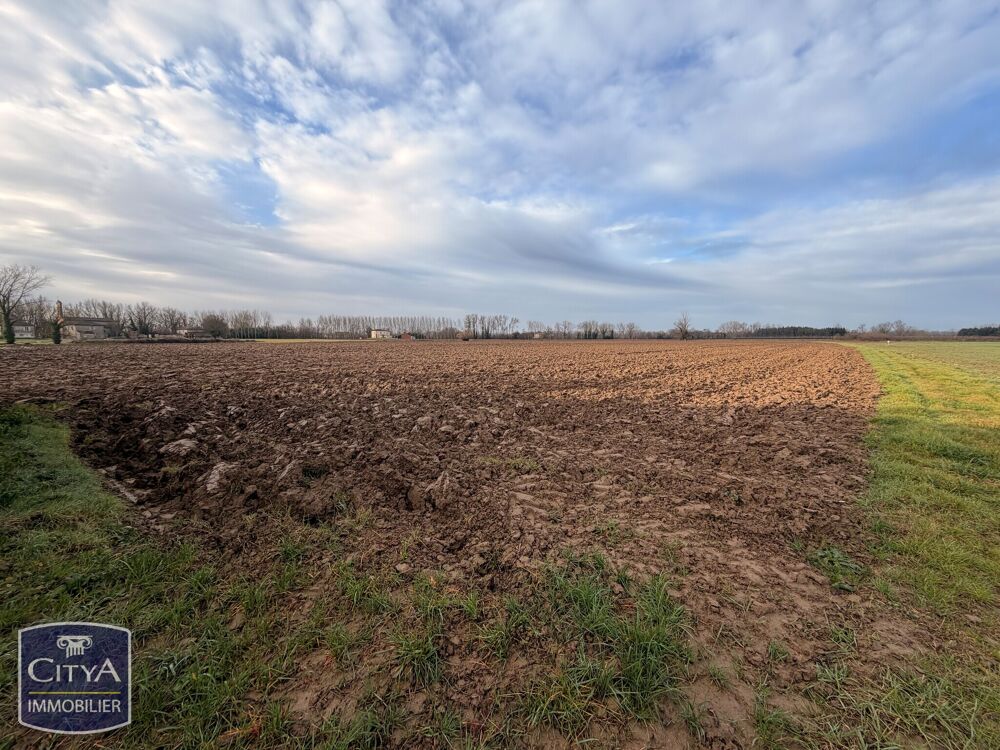 Vente Terrain terrain Montastruc