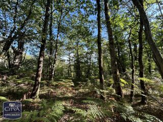  Terrain à vendre 4957 m²