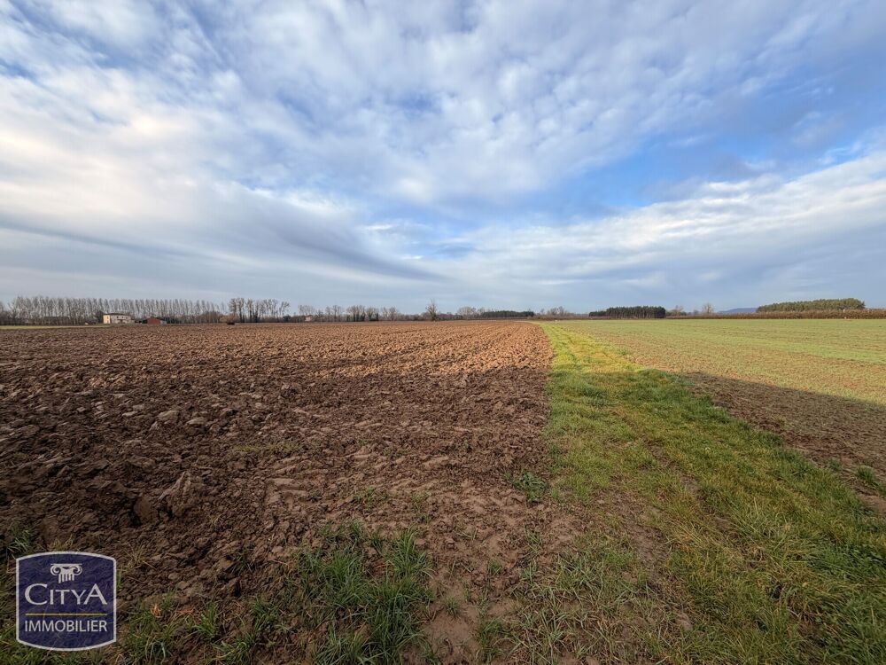 Vente Terrain terrain Montastruc