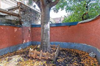  Maison à vendre 7 pièces 105 m²