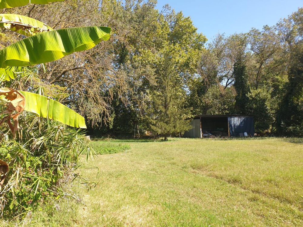 � vendre  Maison Fontvieille (13990)