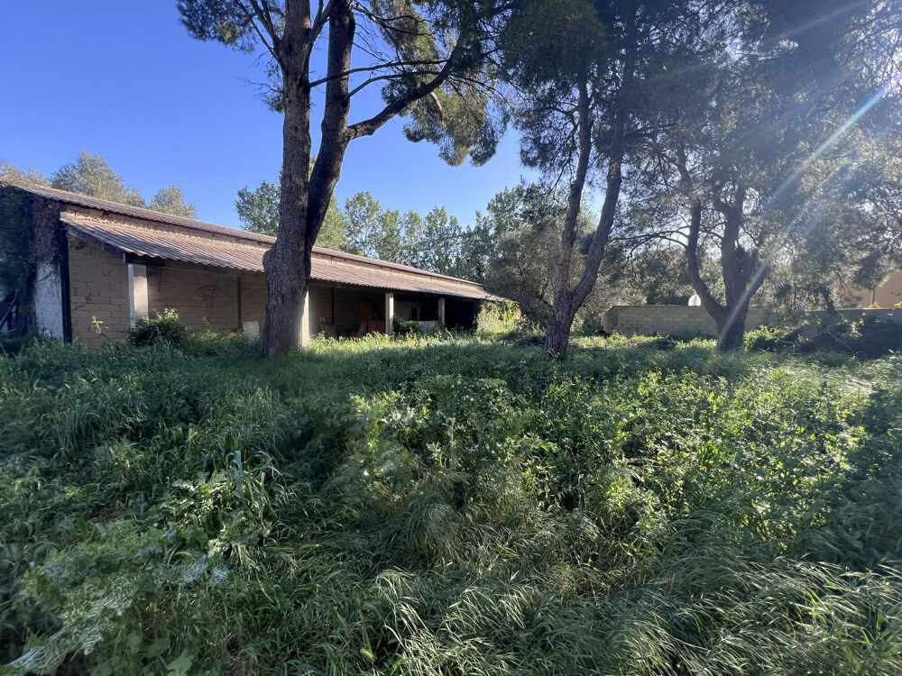 Vente Autre hangar 300 m2 + terrain constructible 1565 m2 Arles