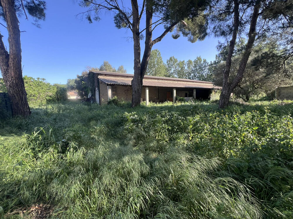 Vente Autre hangar 300 m2 + terrain constructible 1565 m2 Arles