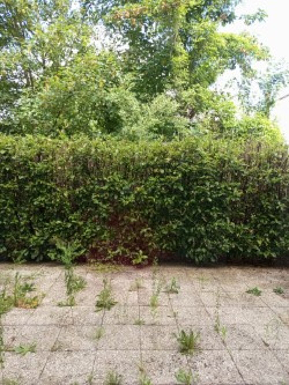 Location Appartement A louer appartement type 3 78 m2 Amberieu en bugey