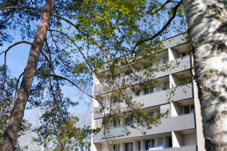  Appartement à louer 4 pièces 74 m²