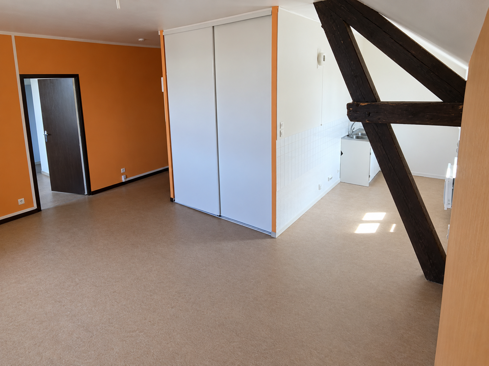 Location Appartement APPARTEMENT - T3 - 59M2 Plateau d hauteville