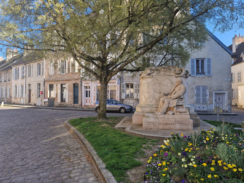 Location Autre Cave Beaune Centre Beaune