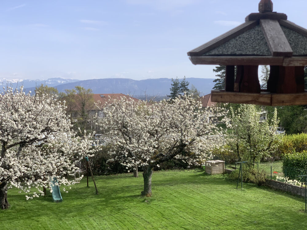 Vente Appartement Très beau T4 lumineux et calme - Centre GEX Gex