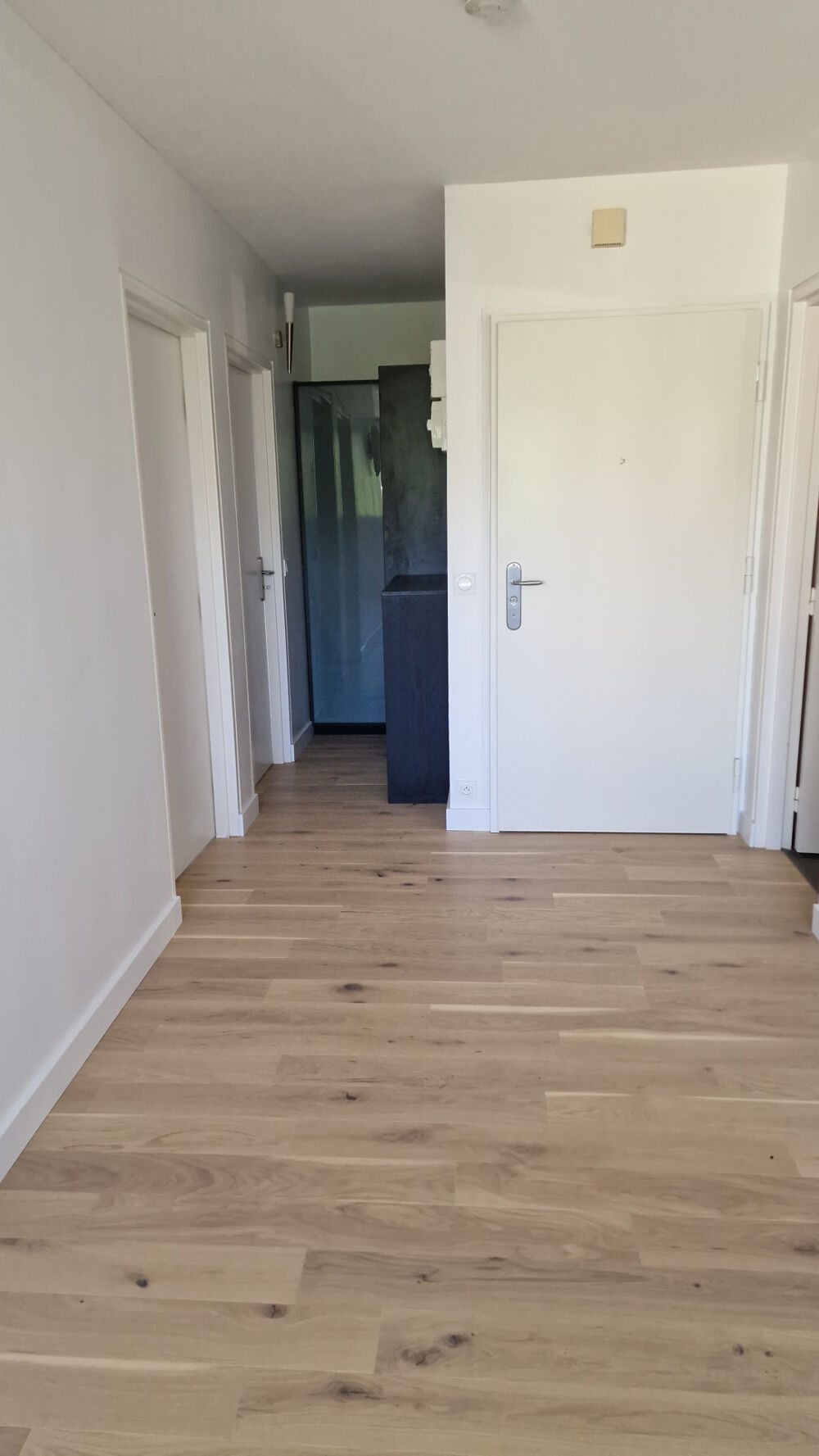 FERNEY VOLTAIRE - APPARTEMENT T3 - vue exceptionnelle!