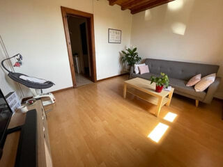  Duplex/triplex � louer 2 pi�ces 50 m�