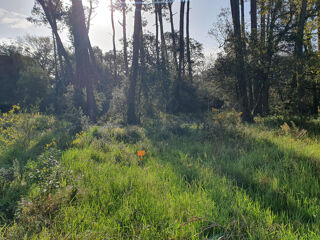 Terrain à vendre 1187 m²