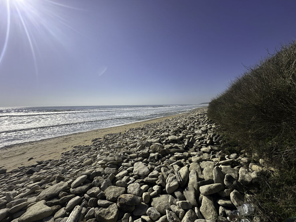 à vendre  Maison Jard-sur-Mer (85520)