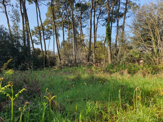  Terrain à vendre 1187 m²