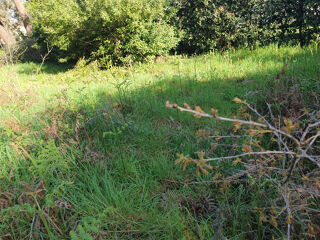  Terrain � vendre 1187 m�