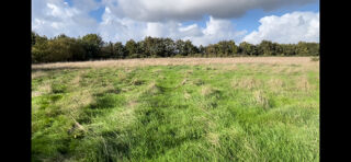  Terrain � vendre 26500 m�