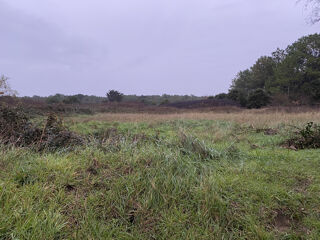 Vente Terrain Terrain de loisir proche mer Les Sables d'Olonne 7000m2 Les sables d olonne
