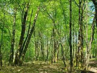  Terrain � vendre 31301 m�