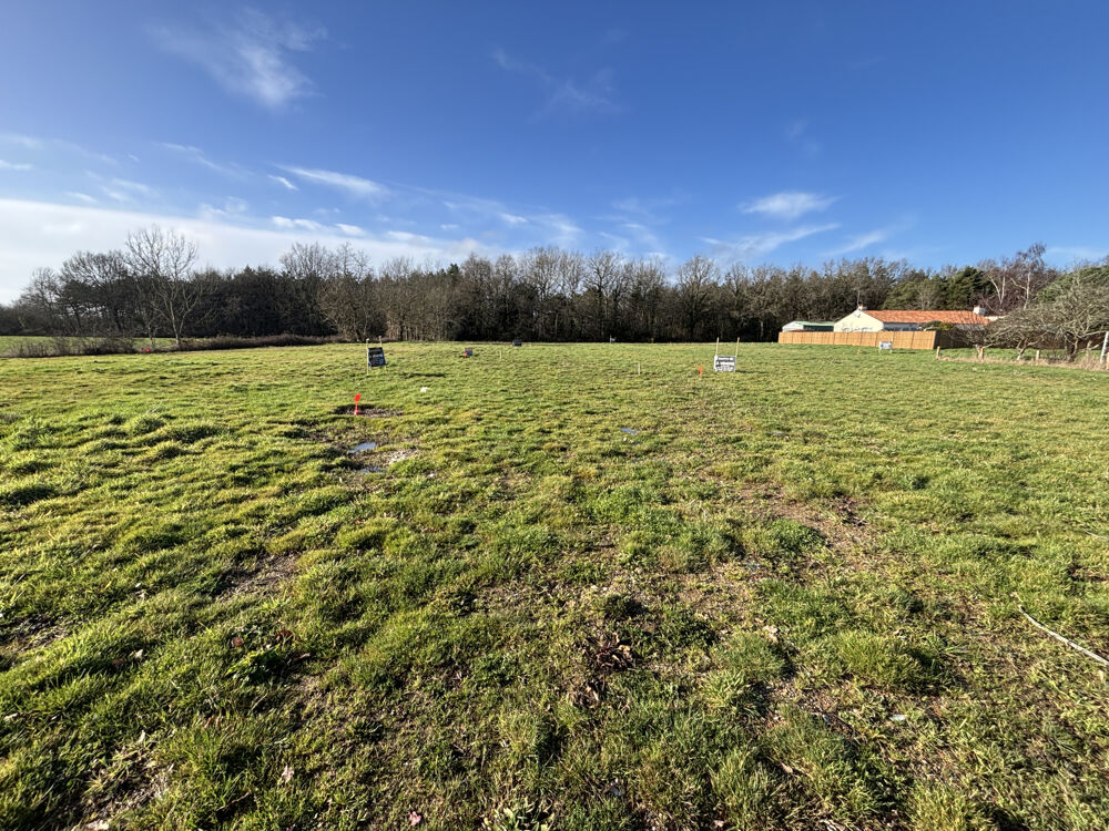 Vente Terrain Terrain constructible de 436 m2 Talmont st hilaire