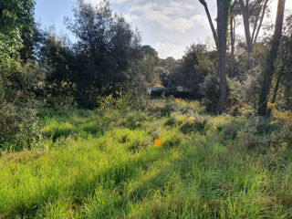  Terrain � vendre 1187 m�