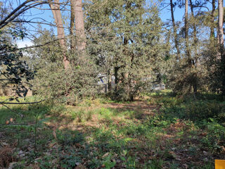  Terrain � vendre 1187 m�