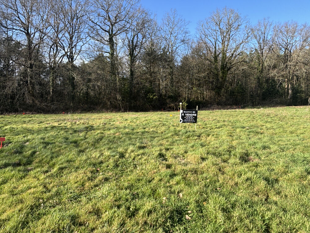 Vente Terrain Terrain constructible de 497 m2 Talmont st hilaire