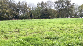  Terrain � vendre 2994 m�