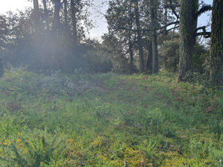  Terrain  vendre 1187 m