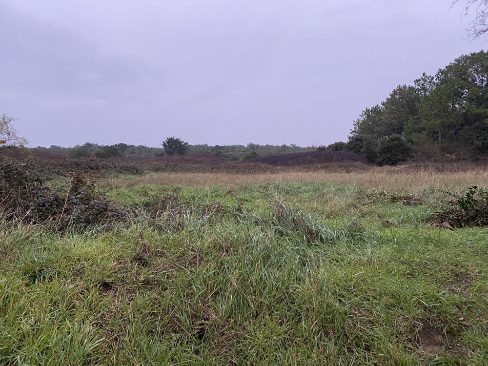 Vente Terrain Terrain de loisir proche mer Les Sables d'Olonne 7000m2 Les sables d olonne