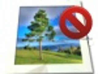 Location  Appartement 