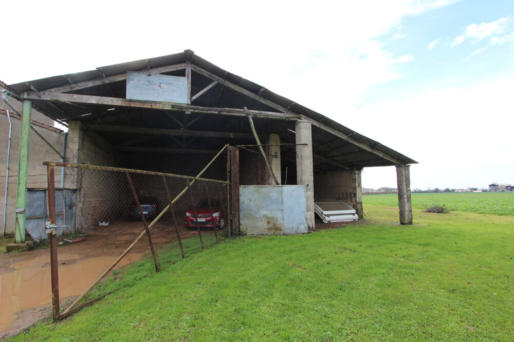 Maison en Pierres avec Hangars