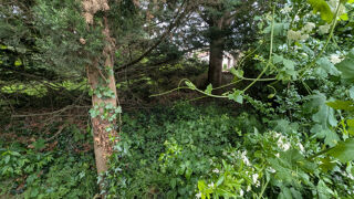  Terrain � vendre 766 m�