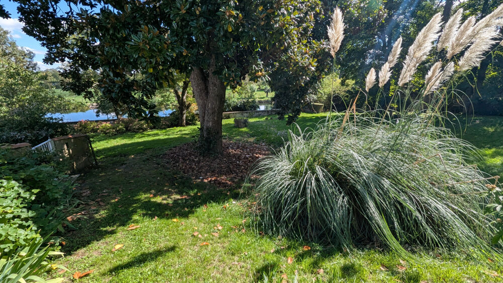 � vendre  Maison Niort (79000)