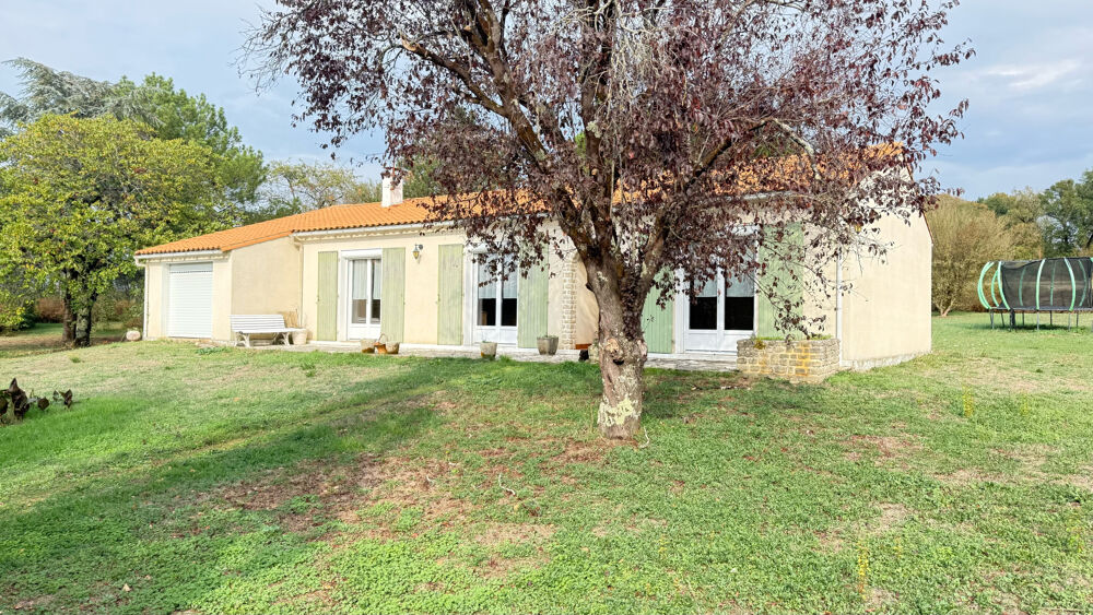 Vente Maison MAISON DE PLAIN-PIED AVEC DEPENDANCE ET GRAND JARDIN ARBORE La creche