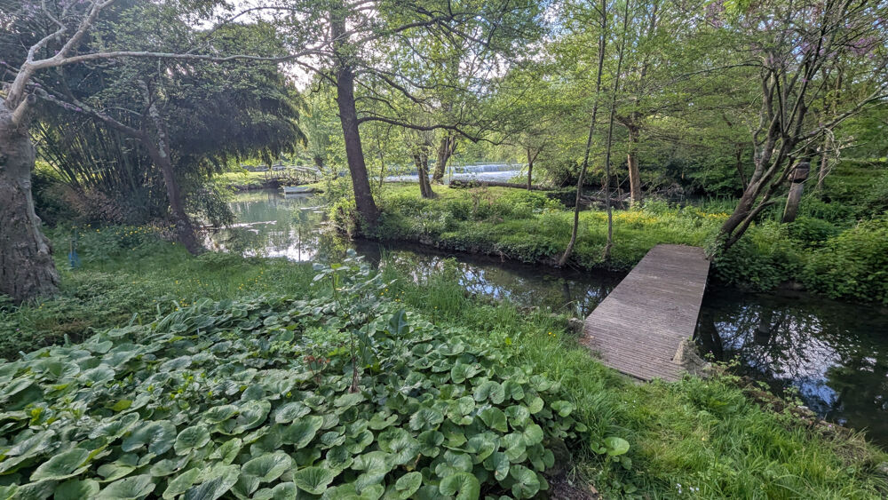 Vente Maison NIORT SAINT LIGUAIRE MAISON EN BORDS DE SEVRE ET DANS UN ECRIN DE VERDURE Niort