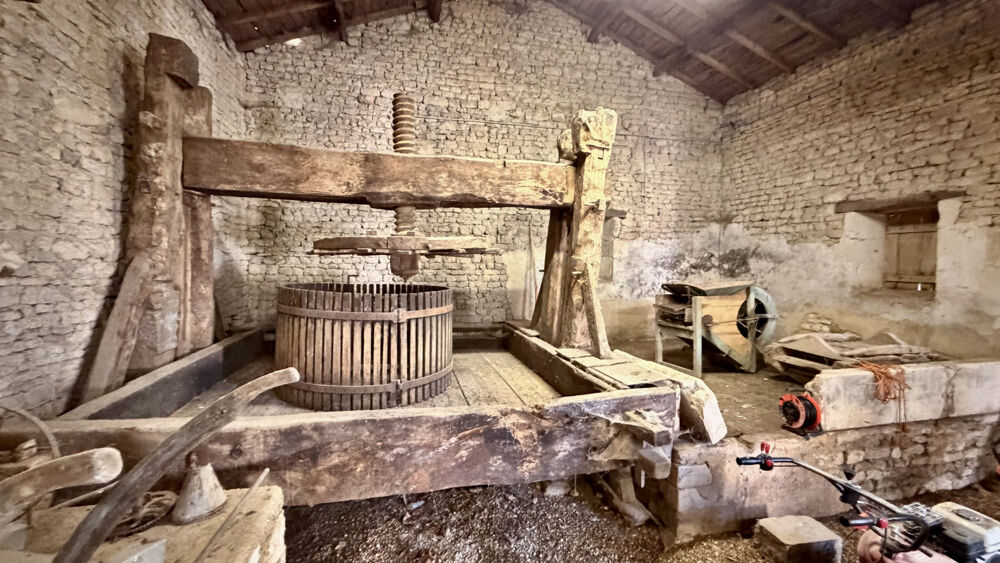 � vendre  Propri�t�/ch�teau Saint-Jean-d'Ang�ly (17400)