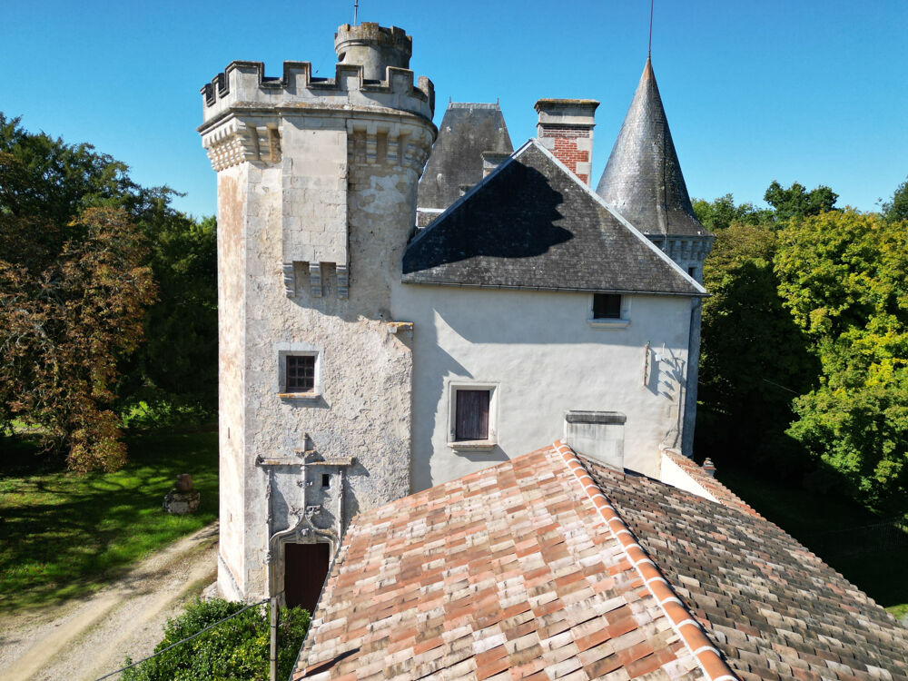  vendre  Proprit/chteau Saint-Jean-d'Angly (17400)