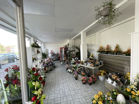   Fonds de commerce de fleurs secteur Mulhouse en EXCLUSIVITE 