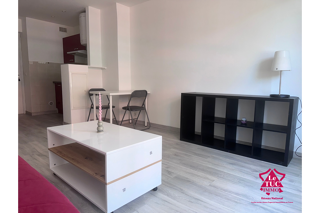  Appartement à louer 1 pièce 23 m²
