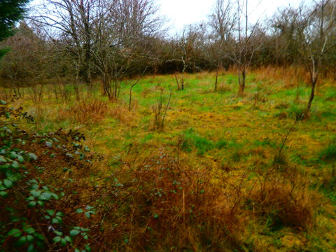 TERRAIN A BATIR 3000 M2 POUR USAGE PROFESSIONEL 40000 36130 Deols